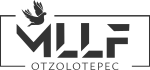 Llamada  Final Otzolotepec